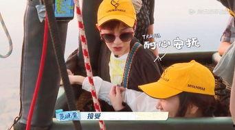 国产鸡情,探寻我国鸡肉产业的崛起之路 第2张 国产鸡情,探寻我国鸡肉产业的崛起之路 第2张