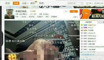 国产啪tv,探索“啪tv”的独特魅力 第3张 国产啪tv,探索“啪tv”的独特魅力 第3张