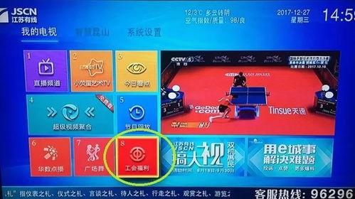 国产免费福利视频,揭秘国内影视资源新趋势 第3张 国产免费福利视频,揭秘国内影视资源新趋势 第3张