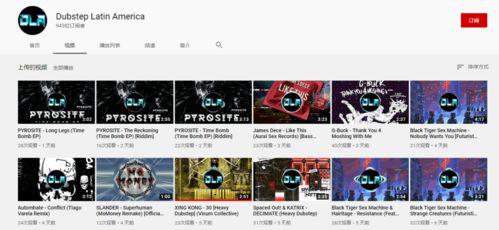 tube国产,揭秘神秘国度的崛起之路  第2张